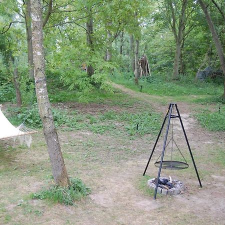 Pipowagen/Paardentram Villa Dreumel Bagian luar foto