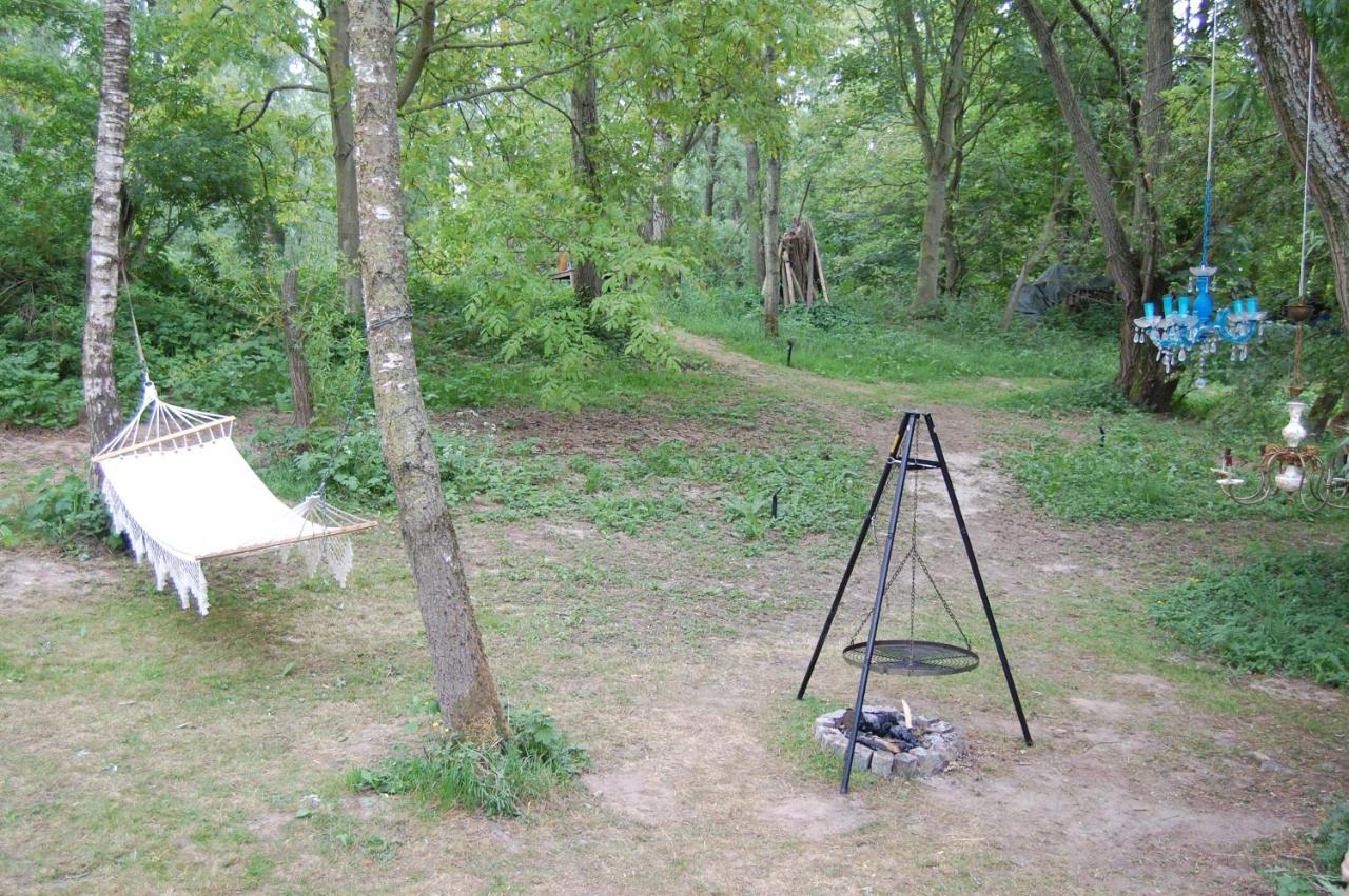 Pipowagen/Paardentram Villa Dreumel Bagian luar foto