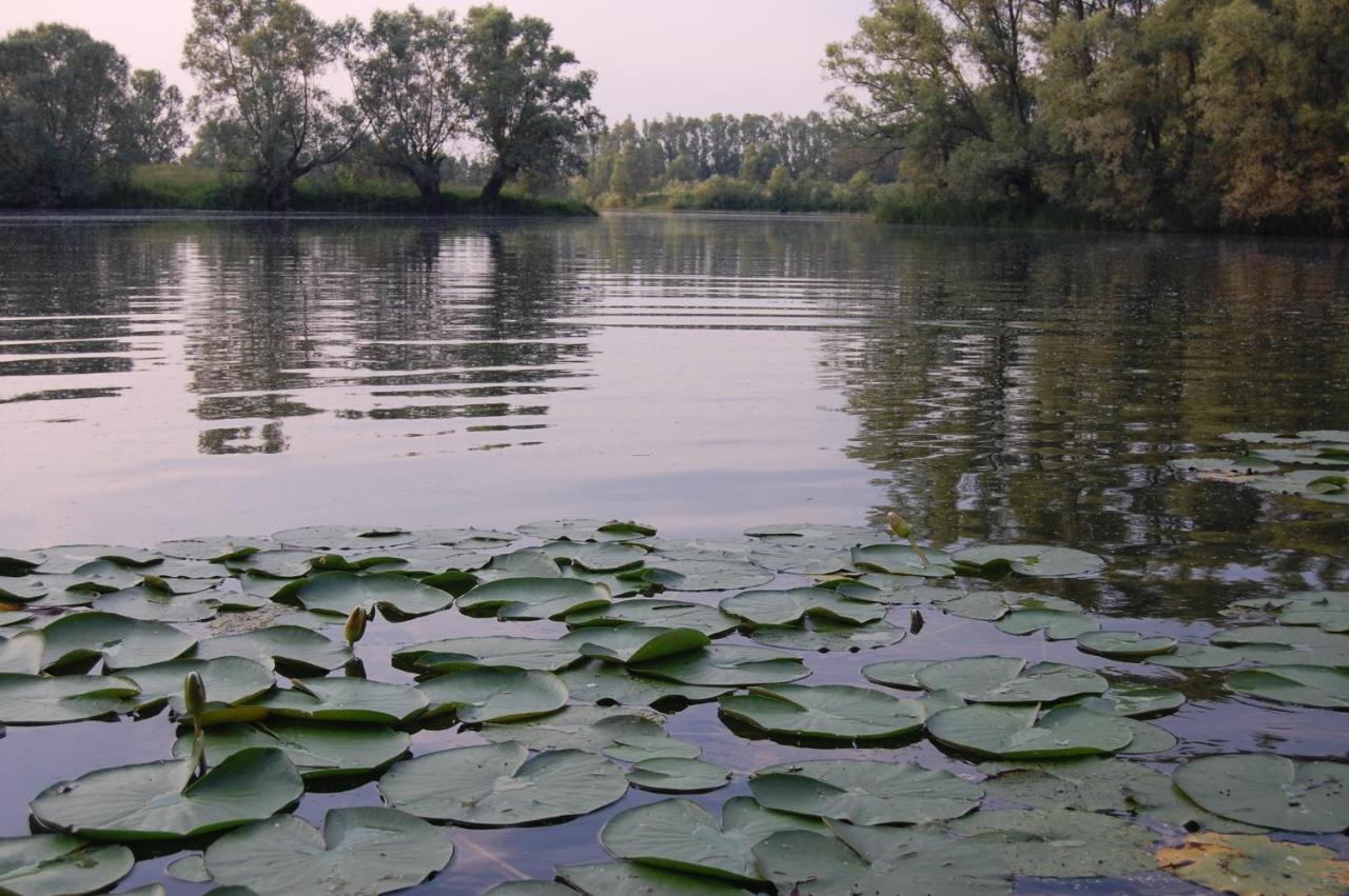 Pipowagen/Paardentram Villa Dreumel Bagian luar foto