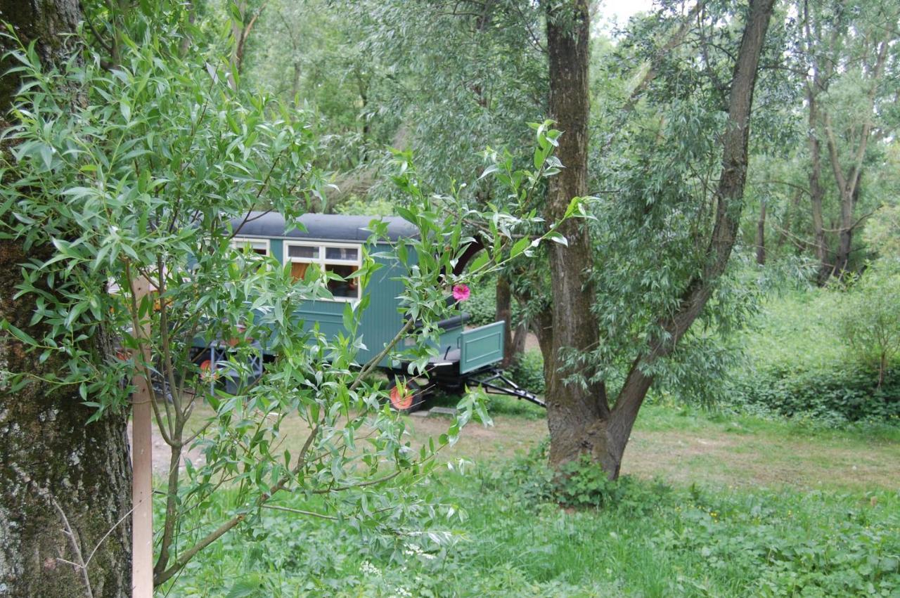 Pipowagen/Paardentram Villa Dreumel Bagian luar foto