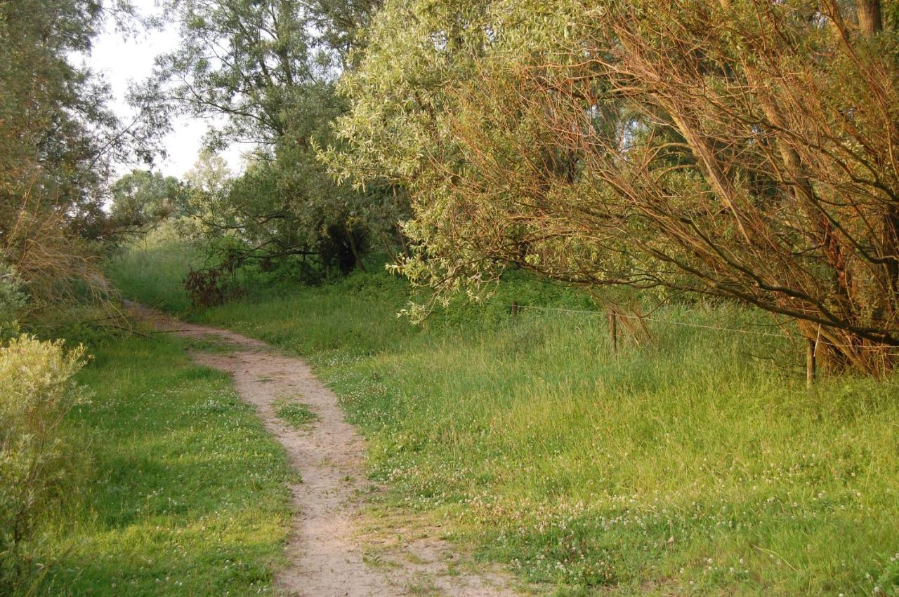 Pipowagen/Paardentram Villa Dreumel Bagian luar foto